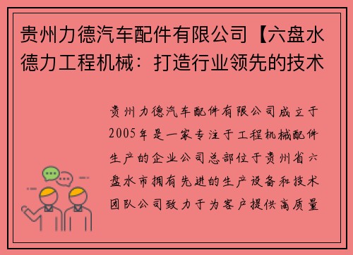 贵州力德汽车配件有限公司【六盘水德力工程机械：打造行业领先的技术创新力量】